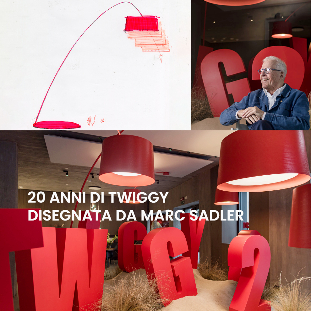 twiggy 20 anni